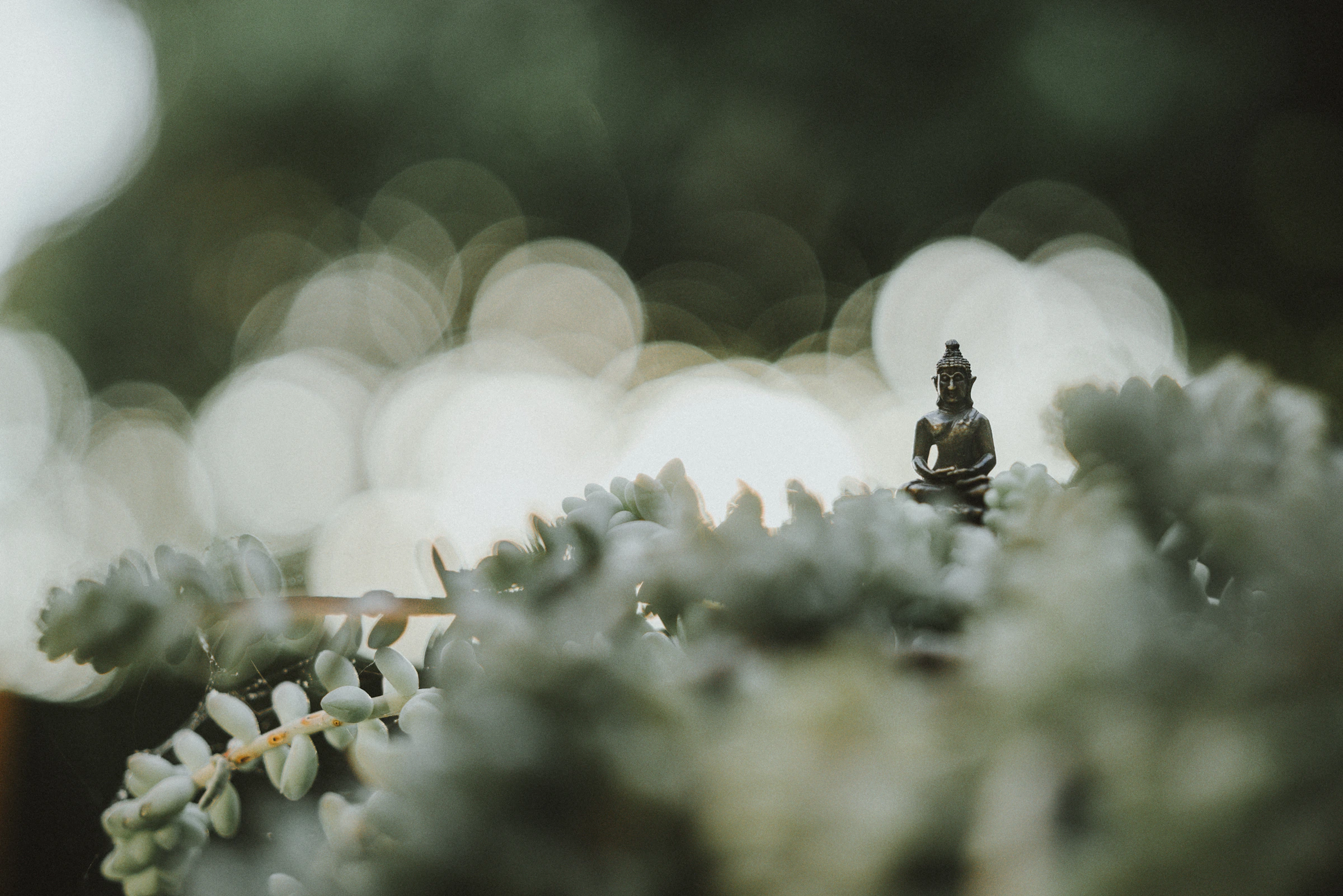 Samuel Austin_1790388821391_unsplash_id_omeaSFHIxYk.webp